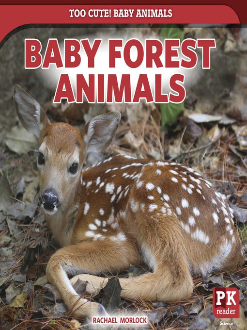 Title details for Baby Forest Animals by Rachael Morlock - Available